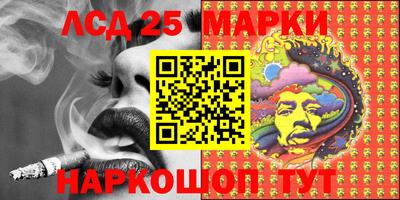 индика Сланцы
