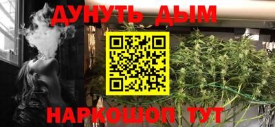 индика Сланцы