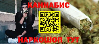 индика Сланцы