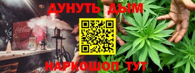 индика Сланцы