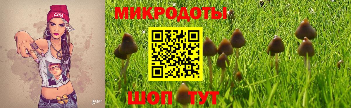 Орёл  Псилоцибиновые грибы мухоморы  Вход с VPN 